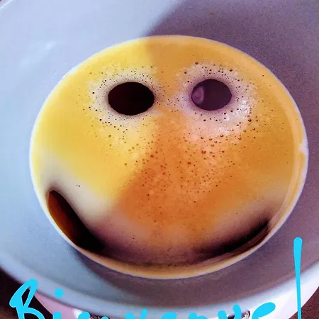 דירה Le Palmier Les Sables-dʼOlonne