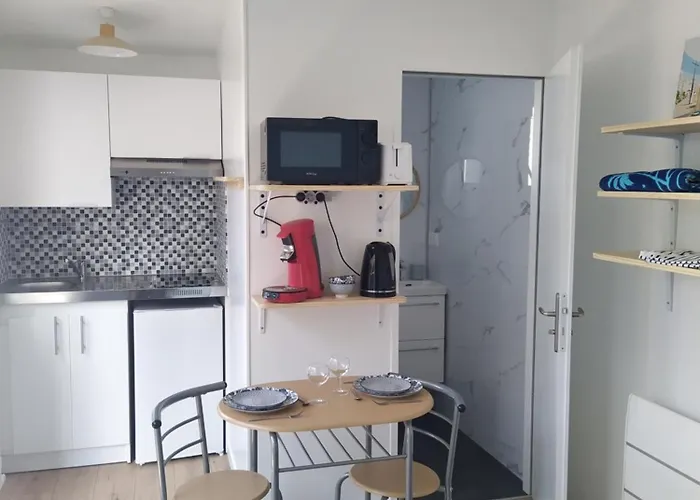 Le Palmier Les Sables-dʼOlonne