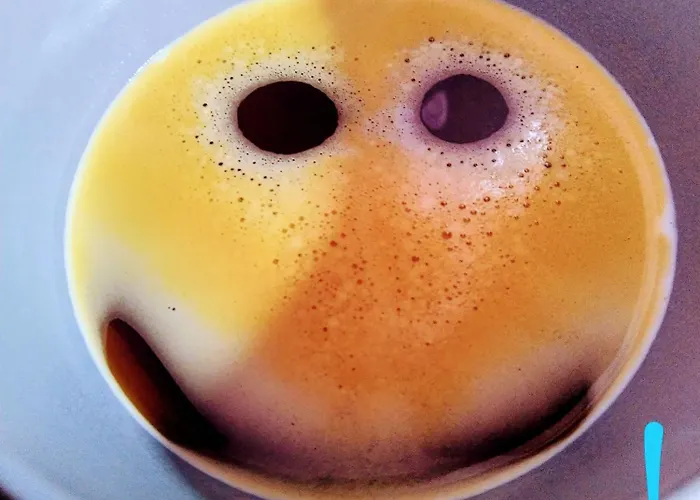 Appartement Le Palmier Les Sables-dʼOlonne